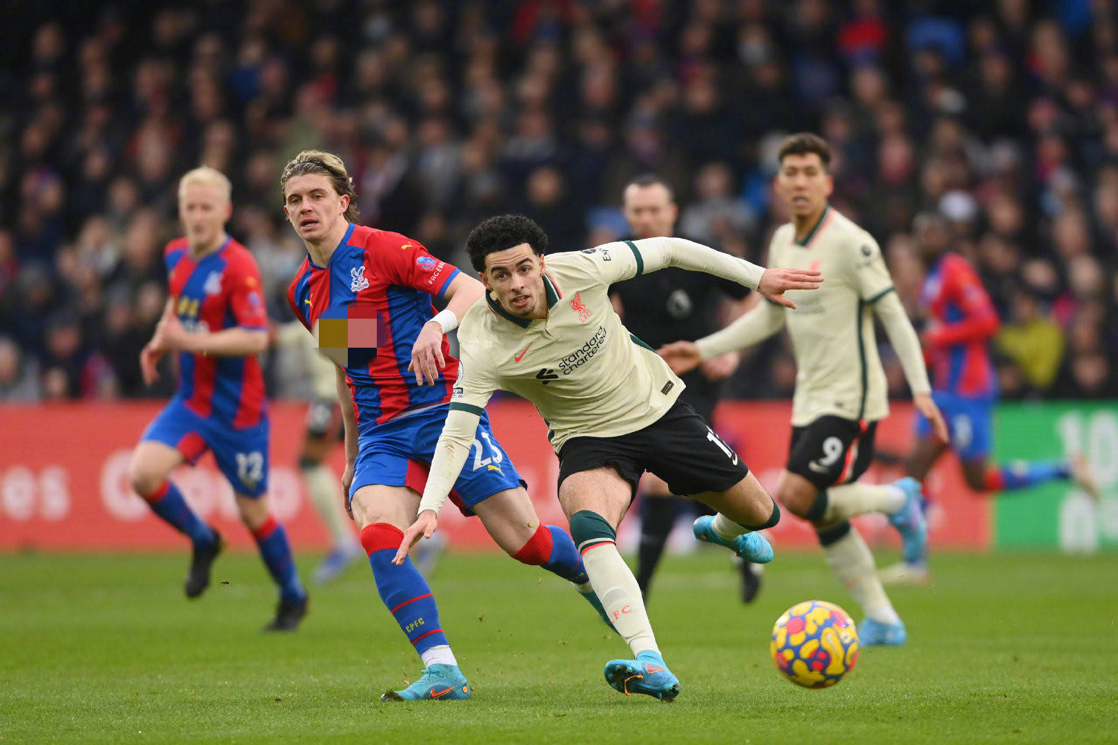 库森的主要 库森的主要